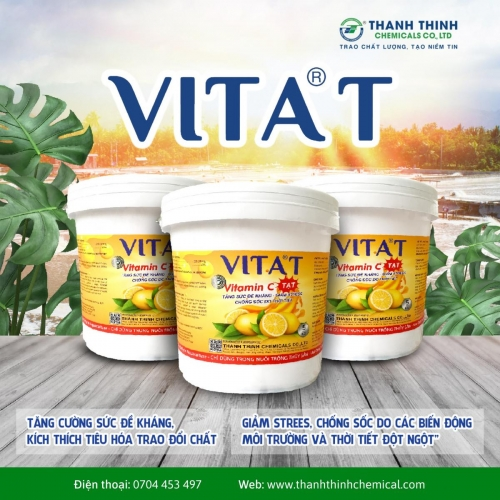 VITA®T - Tăng cường sức đề kháng, kích thích tiêu hóa trao đổi chất, Giảm stress, chống sốc do các biến động môi trường đột ngột
