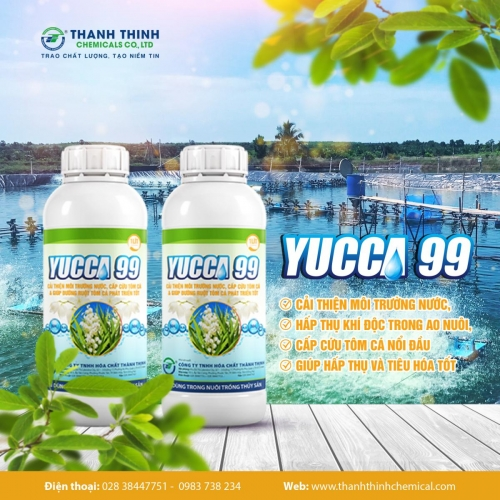 YUCCA®99 (1 lít/chai nhựa) - Chế phẩm sinh học xử lý môi trường nước, bổ sung vào thức ăn cho tôm cá