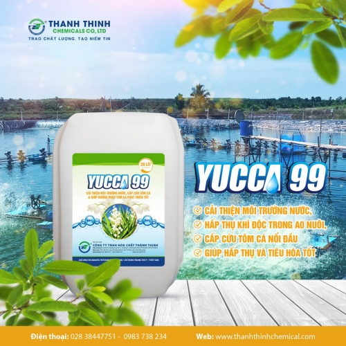 YUCCA®99 (20 lít/can) - Chế phẩm sinh học xử lý môi trường nước, bổ sung vào thức ăn cho tôm cá