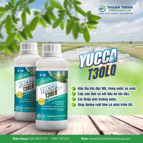 YUCCA®T30LQ - Chế phẩm sinh học, hấp thụ khí độc, cấp cứu tôm cá nổi đầu, xử lý môi trường nước
